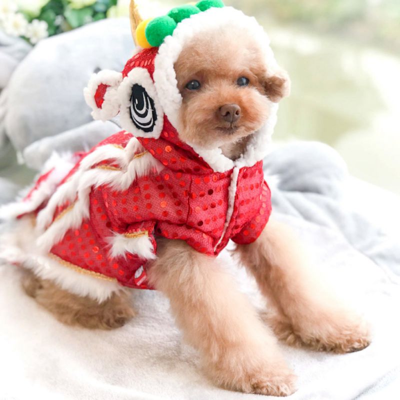 Chinese Lion Dance Costume for Dogs