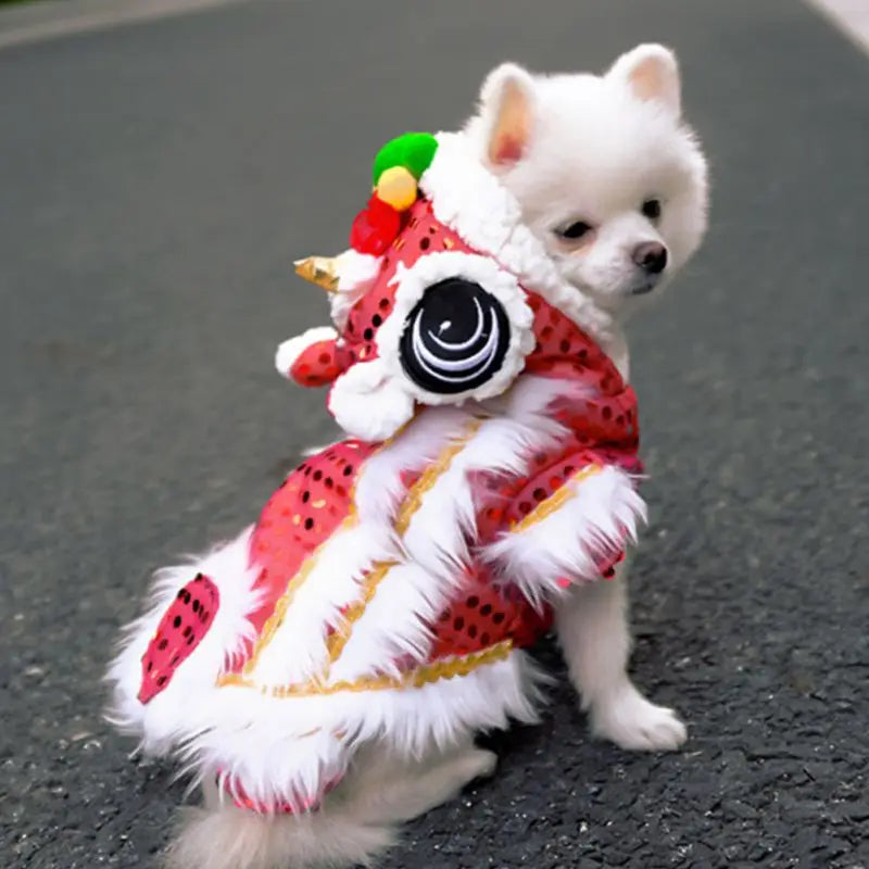 Chinese Lion Dance Costume for Dogs