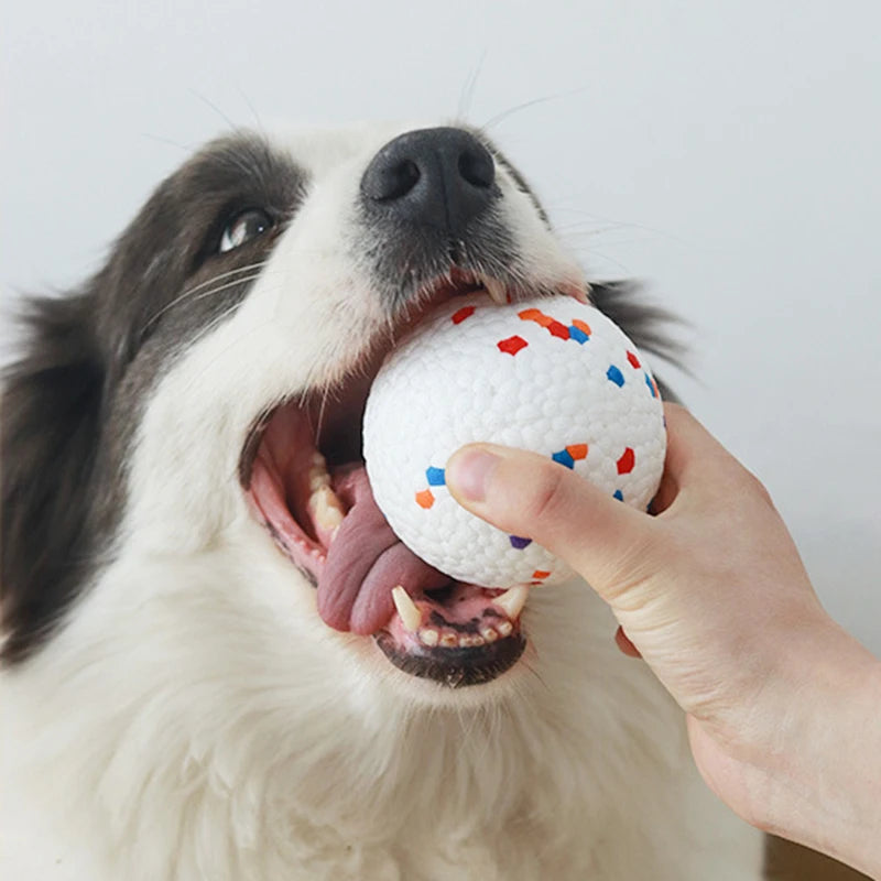 Bite-Resistant Dog Ball Toy