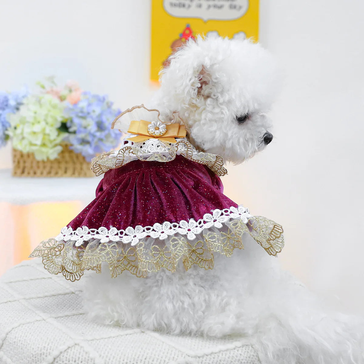 Velvet Lace Dog Dress