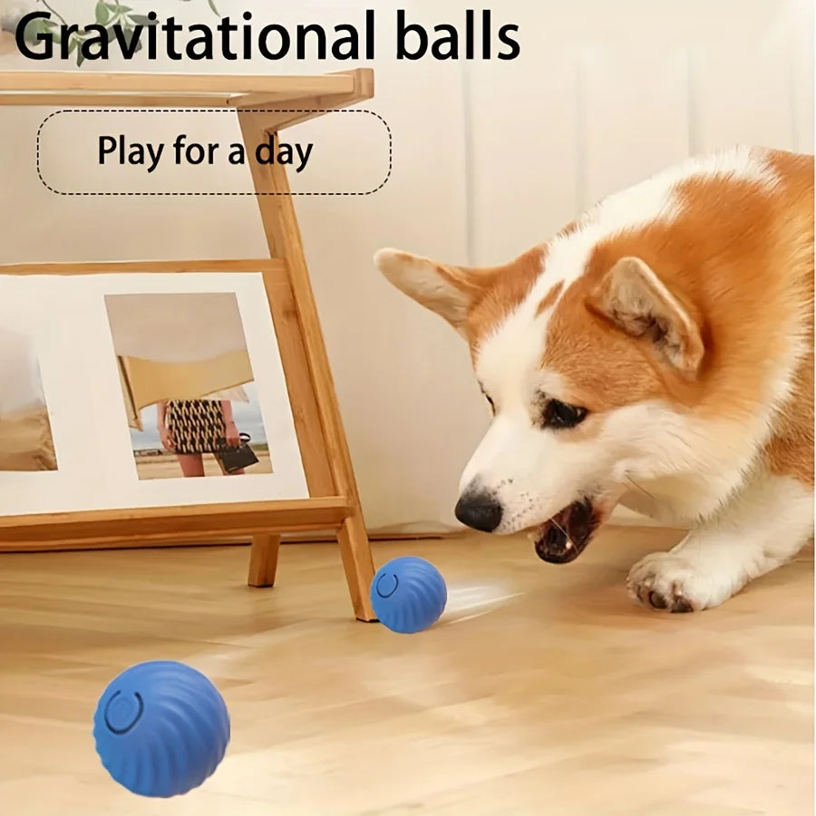 Interactive Smart Dog Toy Ball