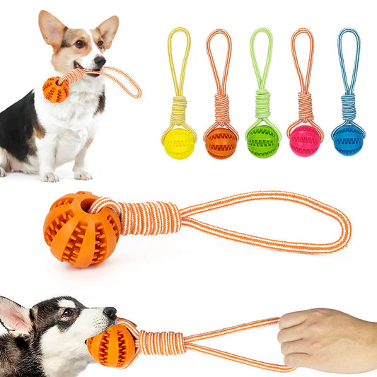 Interactive Pet Treat Balls