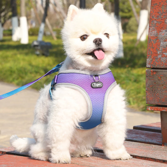 Ombre Dog Harness and Leash Set