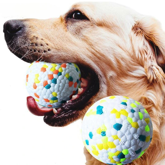 Bite-Resistant Dog Ball Toy