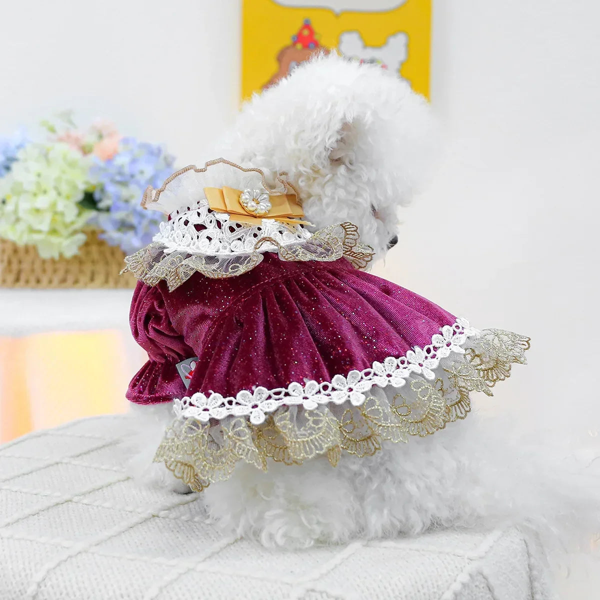 Velvet Lace Dog Dress