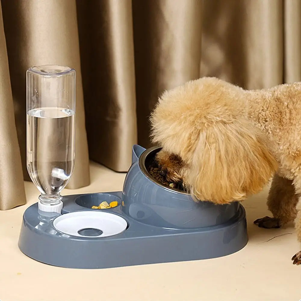 2-in-1 Dog Bowl and Water Dispenser