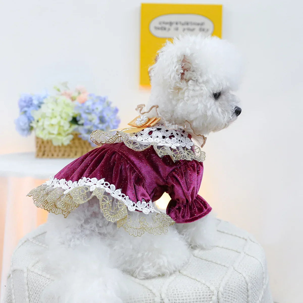 Velvet Lace Dog Dress