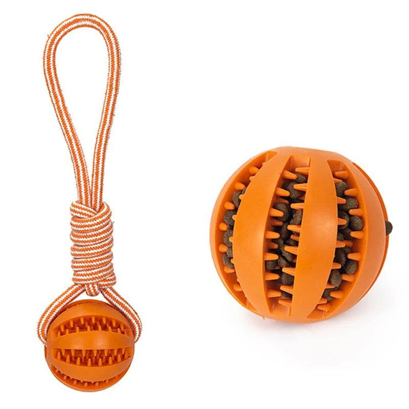 Interactive Pet Treat Balls