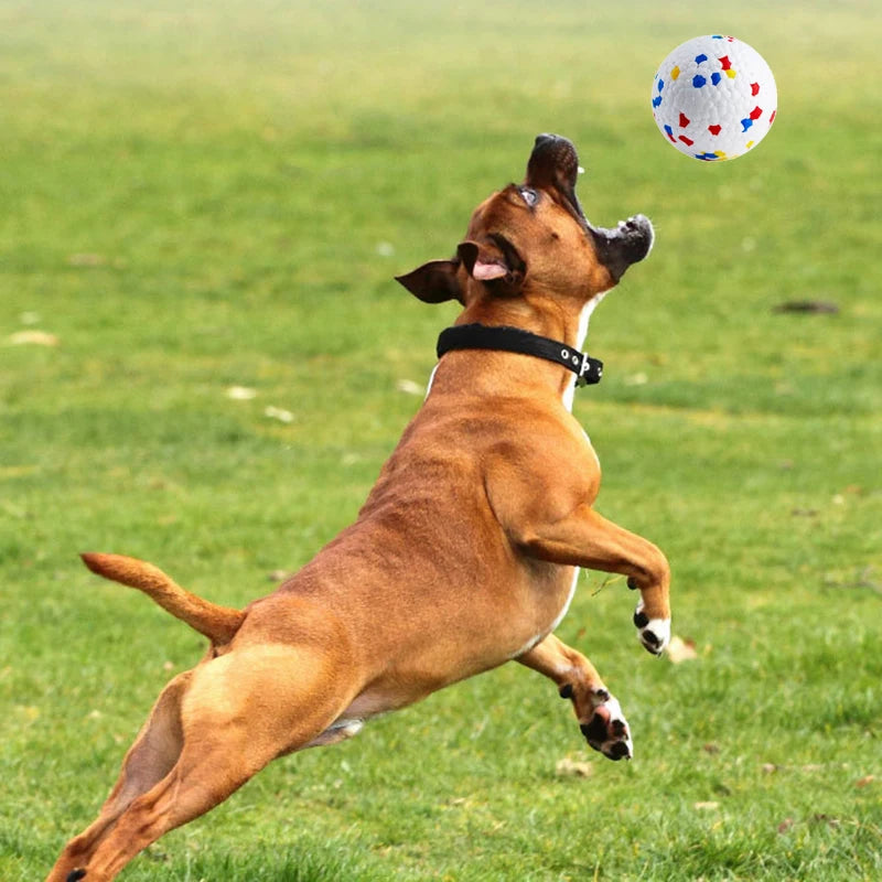 Bite-Resistant Dog Ball Toy