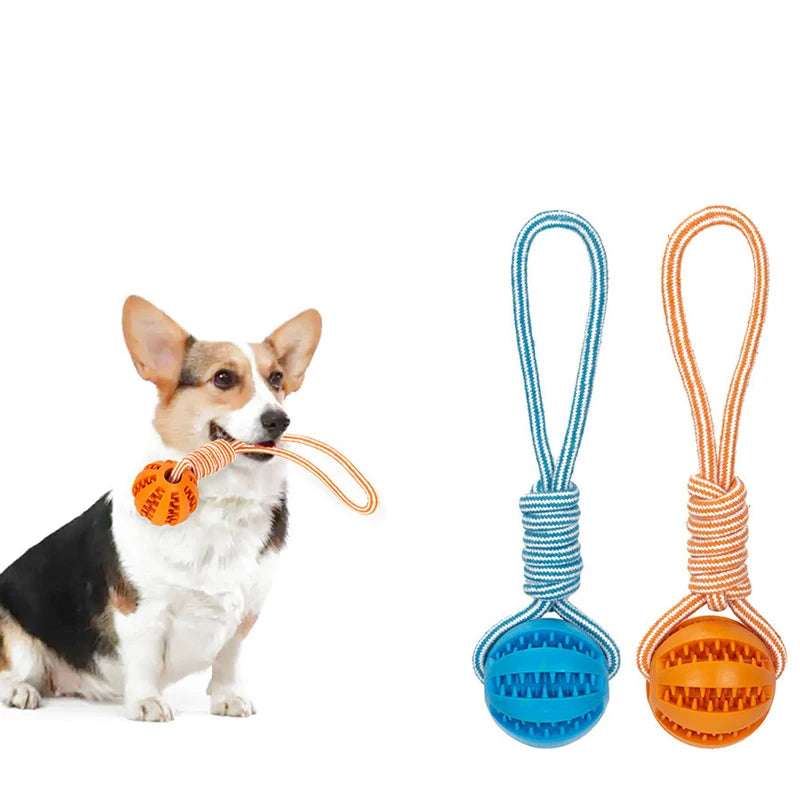 Interactive Pet Treat Balls