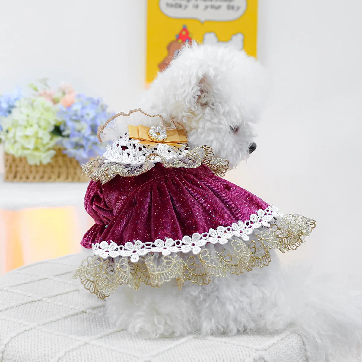 Velvet Lace Dog Dress