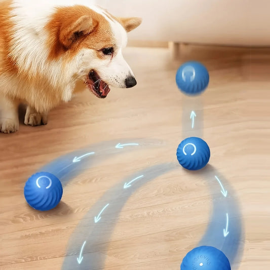 Interactive Smart Dog Toy Ball