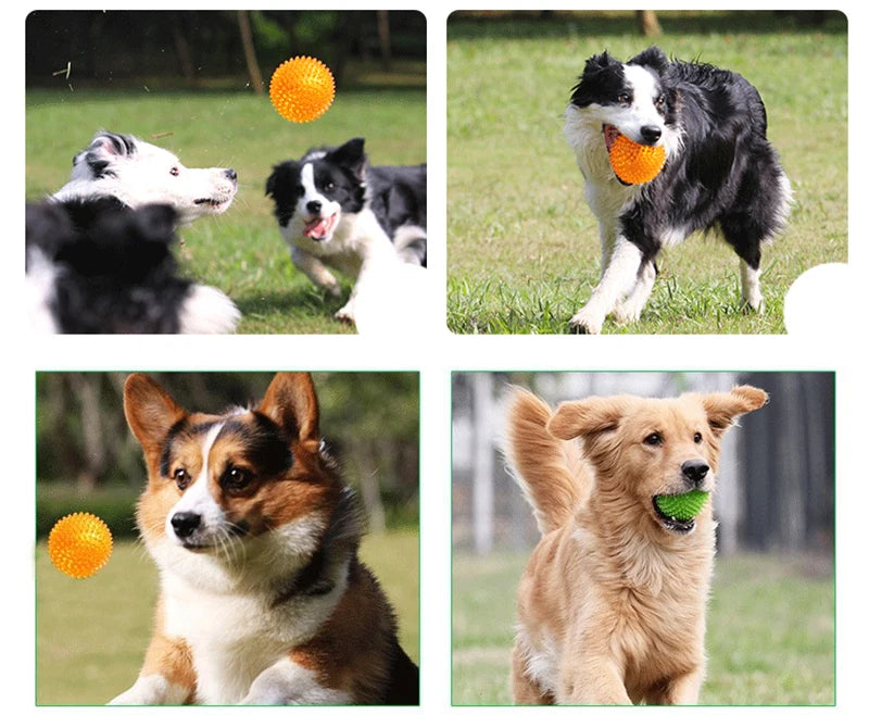 Polka Squeaky Tooth Cleaning Ball