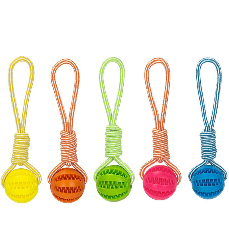 Interactive Pet Treat Balls