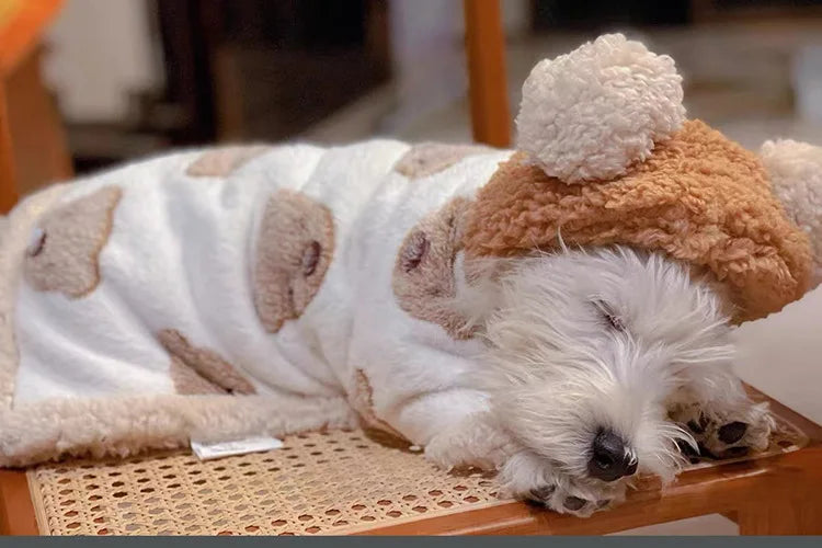 Puppy Bear Cape Blanket