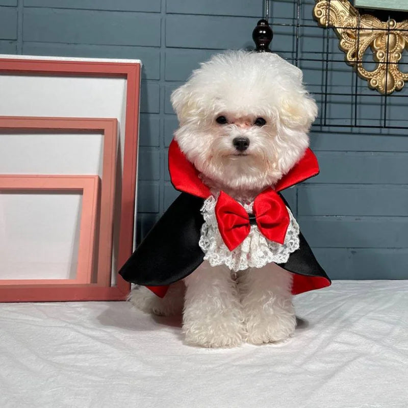 Dogs Halloween Vampire Cloak