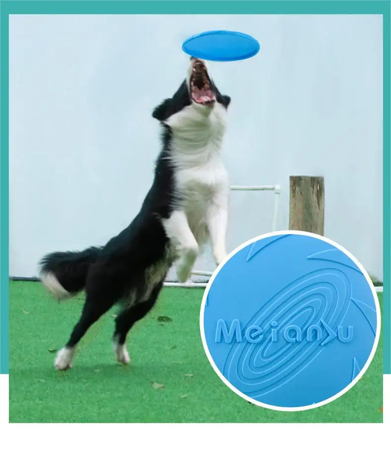 OUZEY Bite Resistant Flying Disc Dog Toy